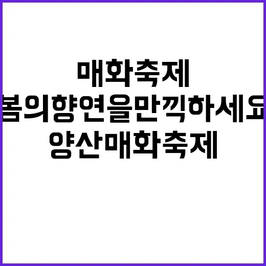 양산 매화축제를 즐…