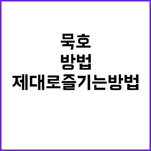 묵호를 제대로 즐기…