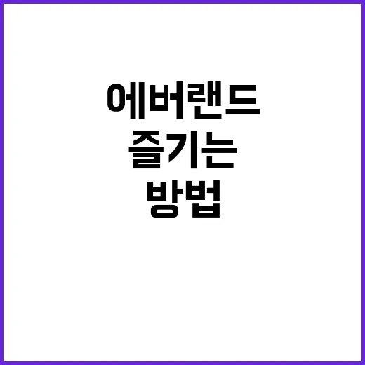 에버랜드에서 하루를 최대한 즐기는 방법