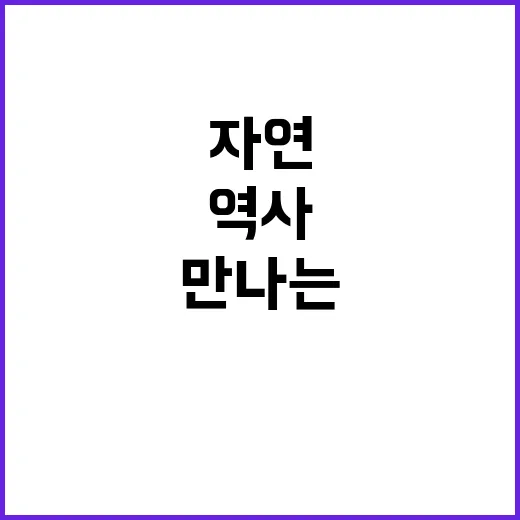 경주에서 꼭 방문해야 할 명소들: 역사와 자연을 만나는 방법