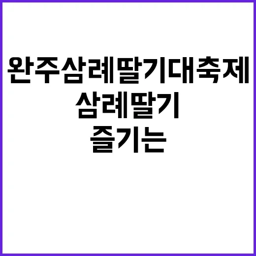 완주삼례딸기대축제를 즐기는 방법