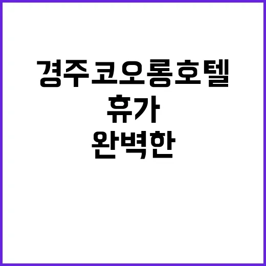 경주 코오롱호텔에서 완벽한 휴가를 보내는 방법