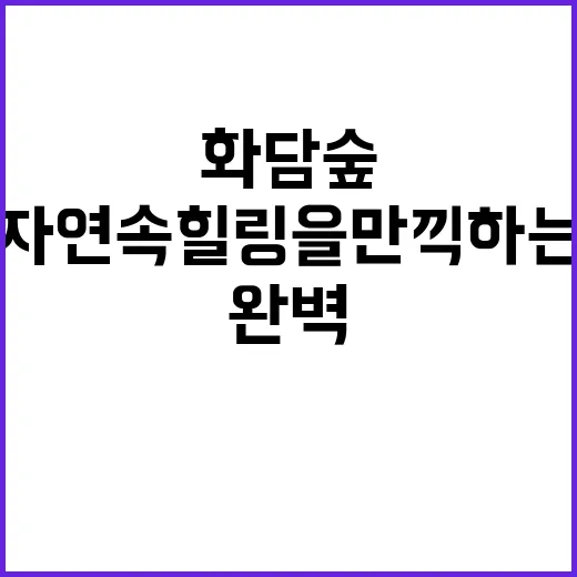 자연 속 힐링을 만끽하는 방법: 화담숲 완벽 가이드