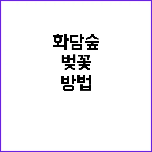 화담숲에서 벚꽃을 즐기는 방법