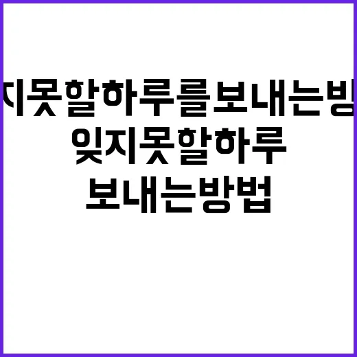 에버랜드에서 잊지 못할 하루를 보내는 방법