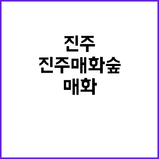 진주 매화숲을 만끽…
