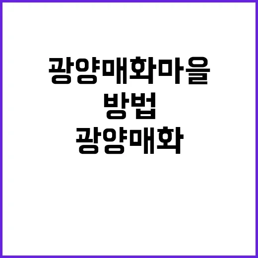 광양 매화마을에서 …