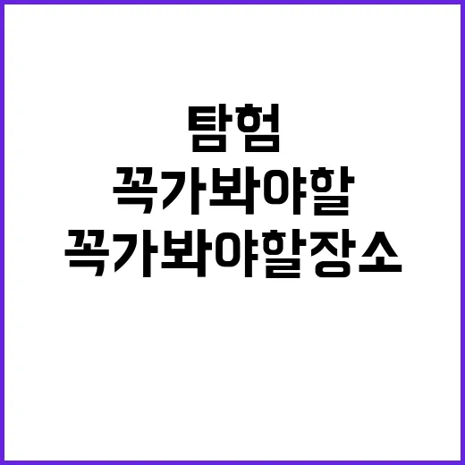 후쿠오카에서 꼭 가봐야 할 장소를 탐험하는 방법