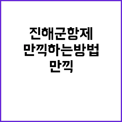 진해군항제를 만끽하는 방법