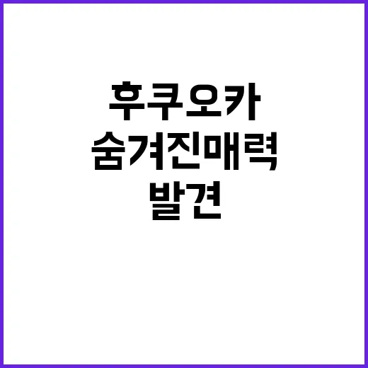 후쿠오카의 숨겨진 매력을 발견하는 방법