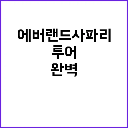 에버랜드 사파리 투어를 완벽하게 즐기는 방법