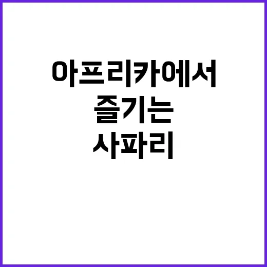 아프리카에서 워킹사파리를 즐기는 방법