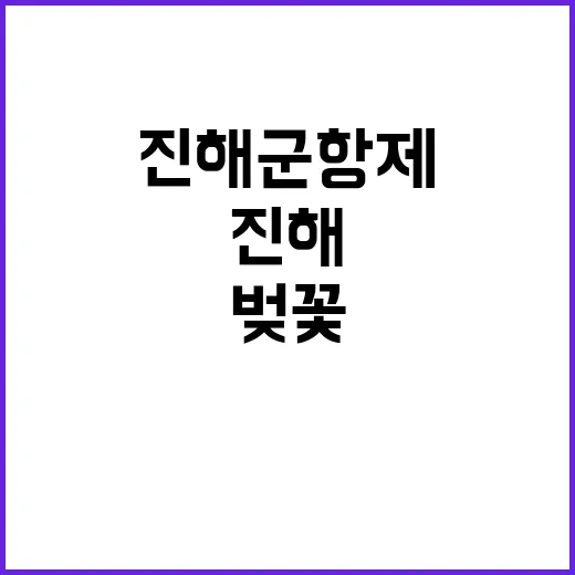 진해군항제를 즐기는 방법: 벚꽃과 함께하는 추억 만들기