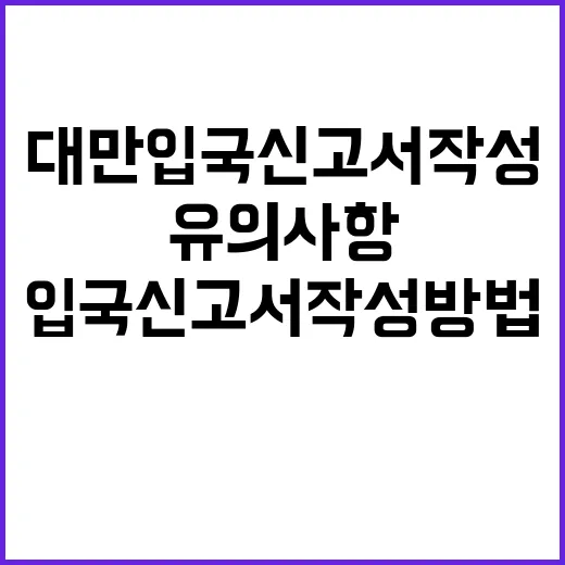 대만 입국신고서 작…