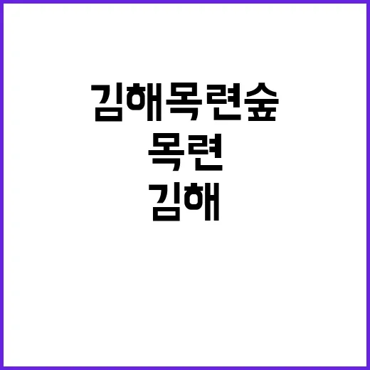 김해 목련숲을 탐험…