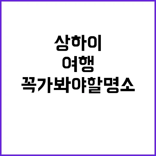 상하이를 여행하는 …
