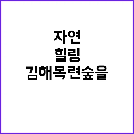 김해 목련숲을 즐기는 방법: 자연 속에서 힐링하기
