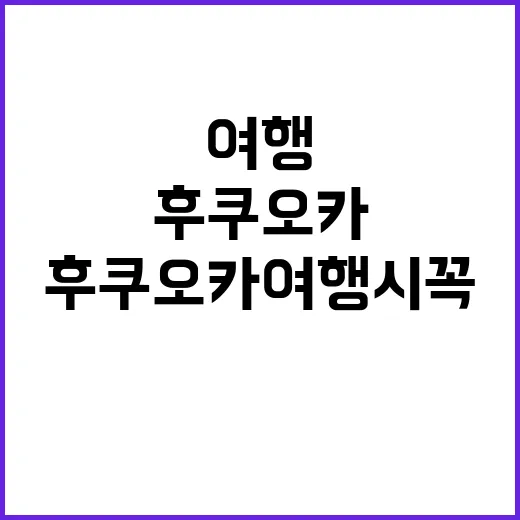 후쿠오카 여행 시 …