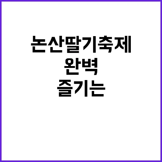 논산딸기축제를 즐기…