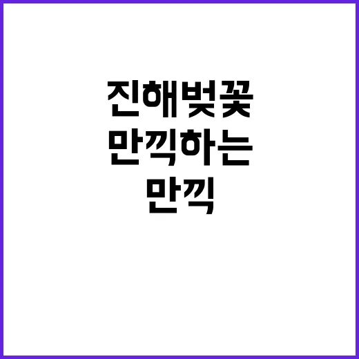 진해 벚꽃을 만끽하…