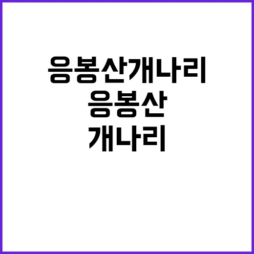 응봉산 개나리를 만끽하는 방법