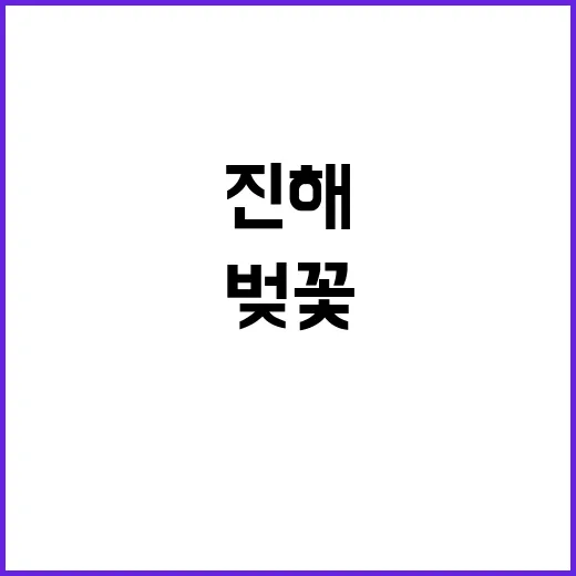 진해 벚꽃을 완벽히 즐기는 방법