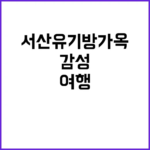 서산 유기방가옥을 여행하는 방법: 감성과 역사를 만나다