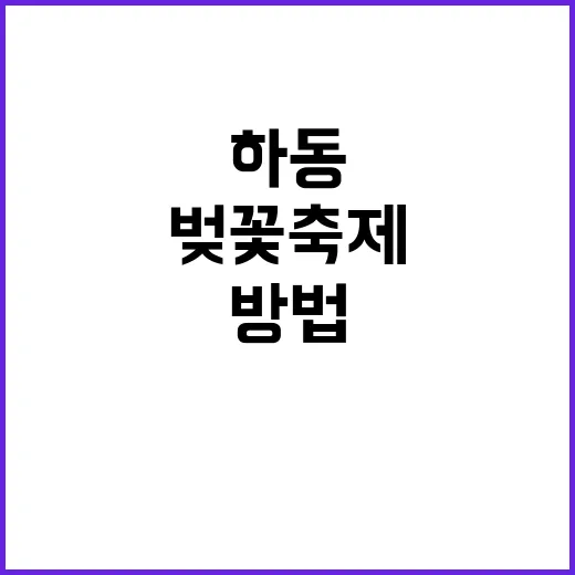 하동 벚꽃축제를 만…