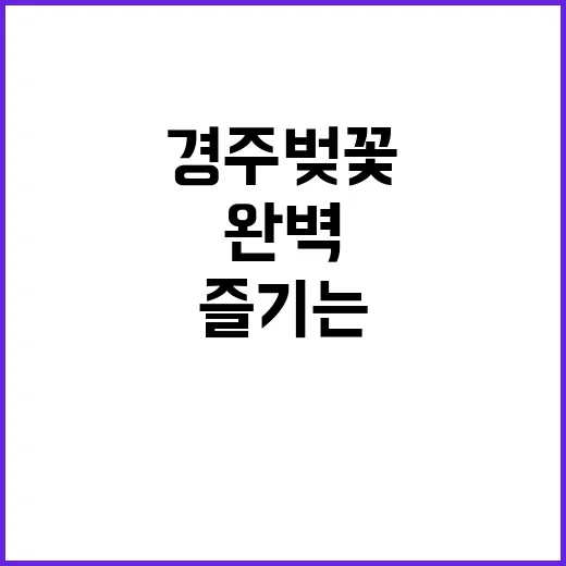 경주 벚꽃 여행을 …