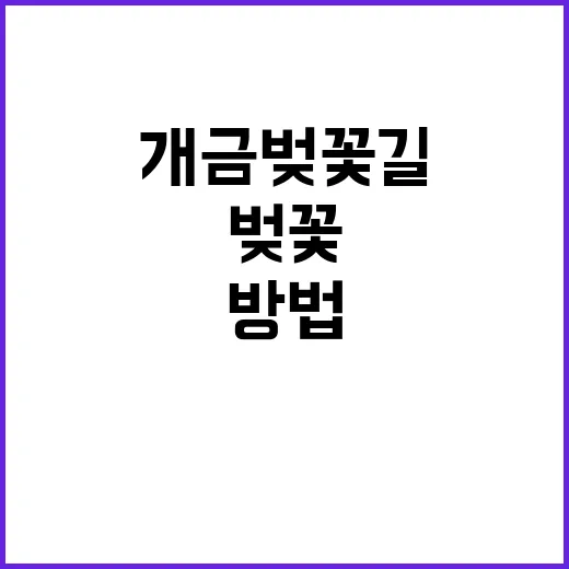 개금 벚꽃길에서 봄…