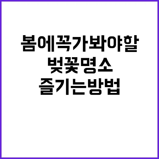 봄에 꼭 가봐야 할…
