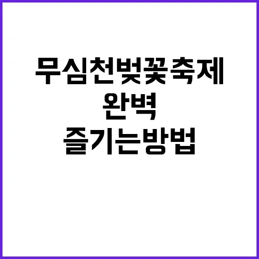 무심천 벚꽃축제를 …