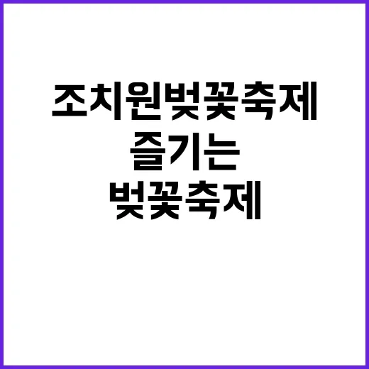 조치원 벚꽃축제를 …