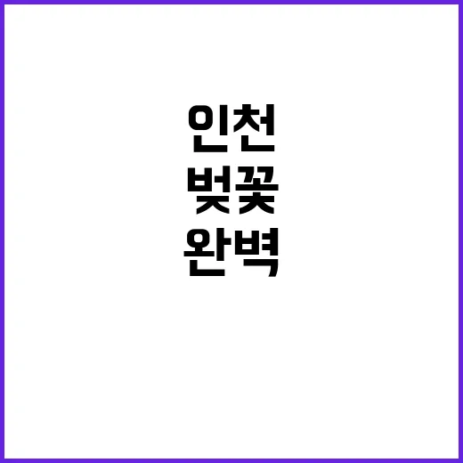 인천 벚꽃 여행을 …