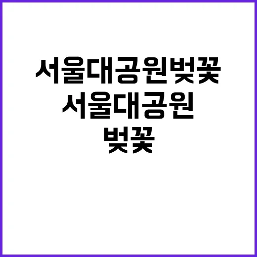 서울대공원 벚꽃을 …
