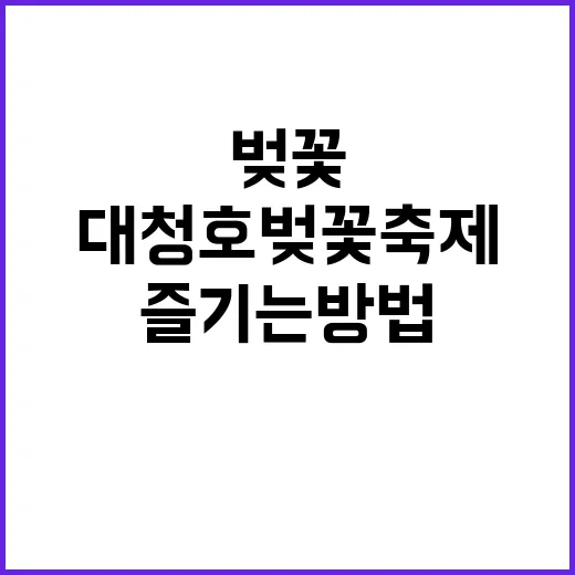 대청호 벚꽃 축제를…