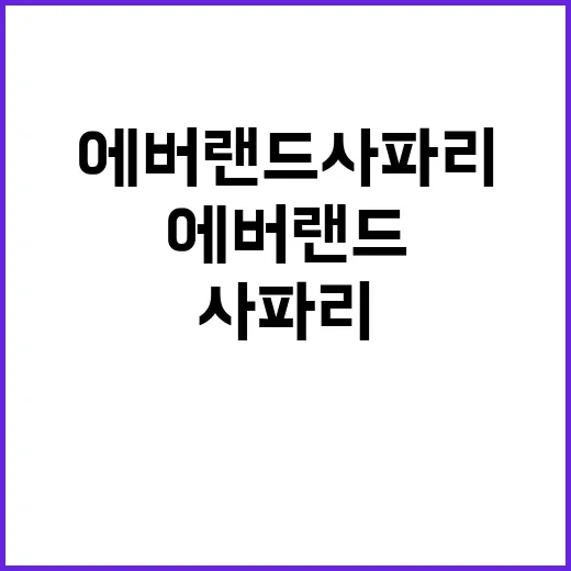 에버랜드 사파리 투…