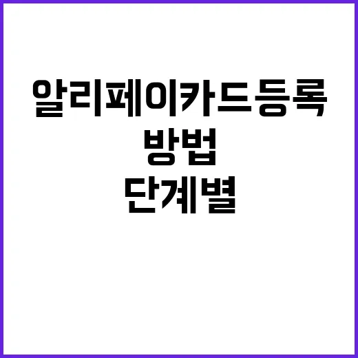 알리페이 카드등록하…