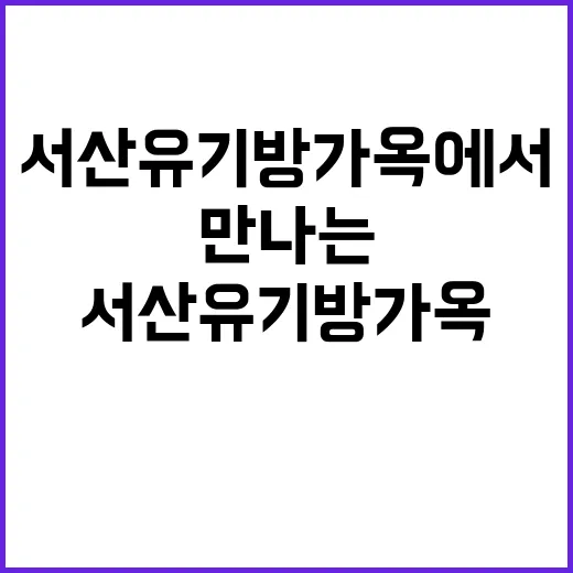서산 유기방가옥에서 전통을 만나는 방법