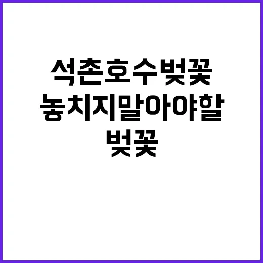 석촌호수 벚꽃을 즐…