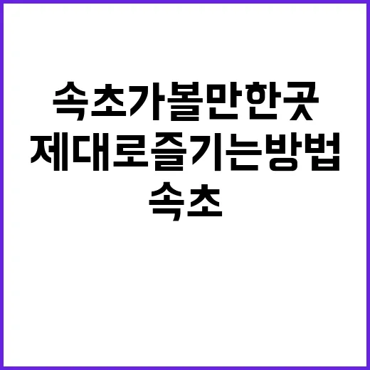 속초 가볼만한곳을 제대로 즐기는 방법