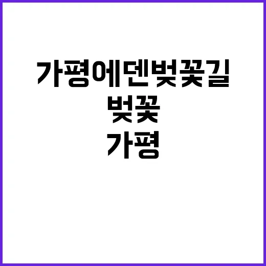 가평 에덴벚꽃길을 …