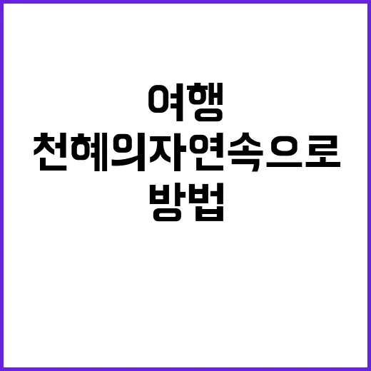 차백도를 여행하는 …