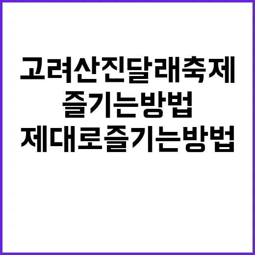 고려산 진달래축제를 제대로 즐기는 방법