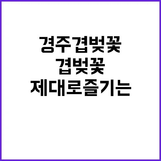 경주 겹벚꽃을 제대…