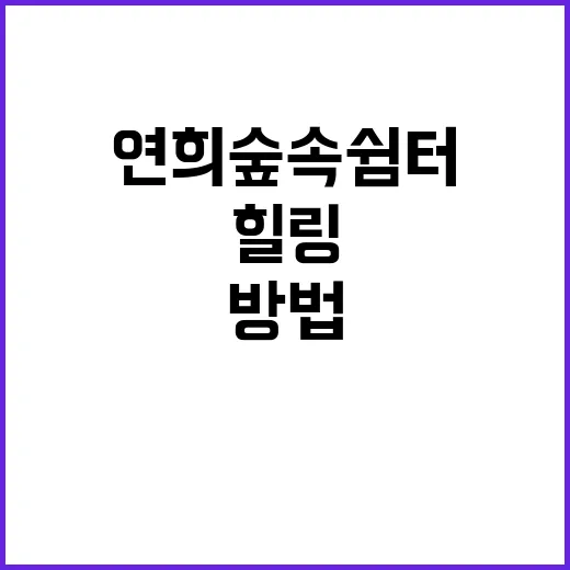 연희숲속쉼터에서 힐링하는 방법