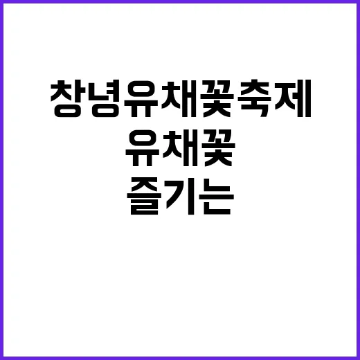 창녕 유채꽃 축제를 완벽하게 즐기는 방법