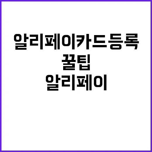 알리페이 카드등록하…