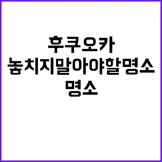 후쿠오카에서 쇼핑을…