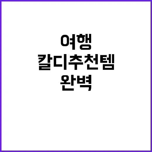 여행 준비를 완벽하…